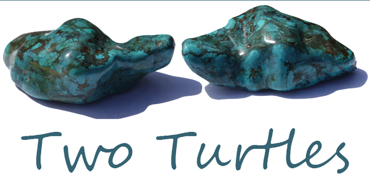 TwoTurtles